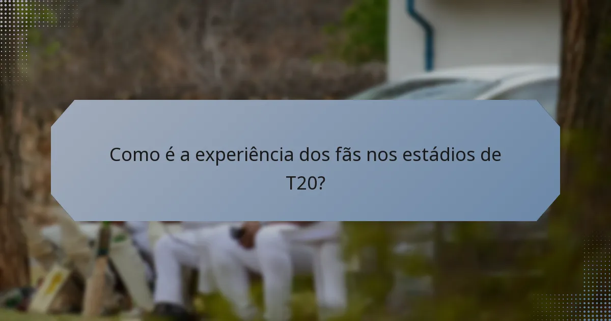 Como é a experiência dos fãs nos estádios de T20?