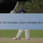 Jogo T20: Entradas, Overs, Duração do jogo