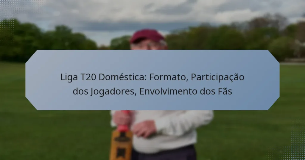 Liga T20 Doméstica: Formato, Participação dos Jogadores, Envolvimento dos Fãs