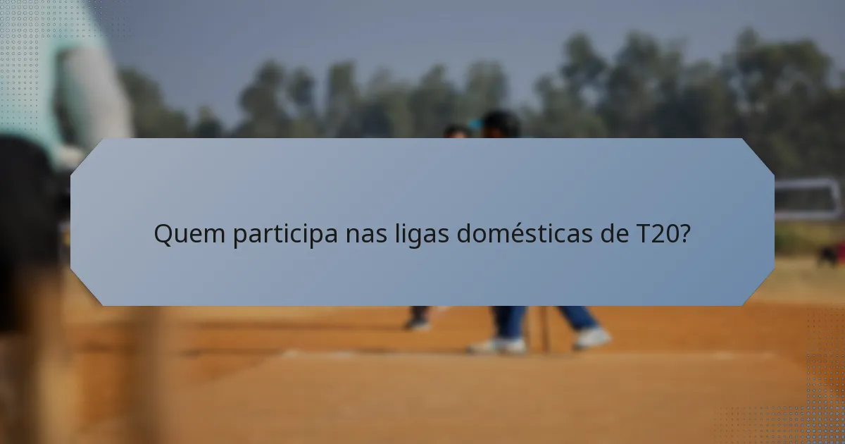 Quem participa nas ligas domésticas de T20?